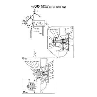 FIG 30. C.F.W. PUMP