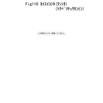 FIG 110. C.S.W.STRAINER (SINGLE-TYPE)(OPTIONAL)