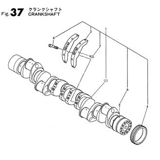 FIG 37. CRANKSHAFT