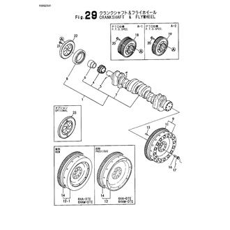 FIG 29. CRANKSHAFT & FLYWHEEL