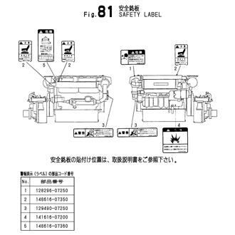 FIG 81. SAFETY LABEL