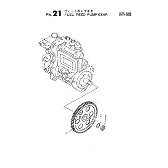 FIG 21. FUEL FEED PUMP GEAR