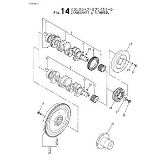 FIG 14. CRANKSHAFT & FLYWHEEL