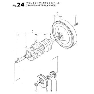 FIG 24. CRANKSHAFT & FLYWHEEL