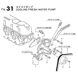 FIG 31. COOLING FRESH WATER PUMP