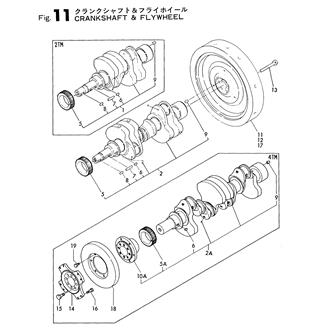 FIG 11. CRANKSHAFT,FLYWHEEL