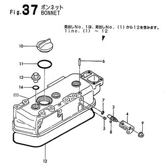 FIG 37. BONNET