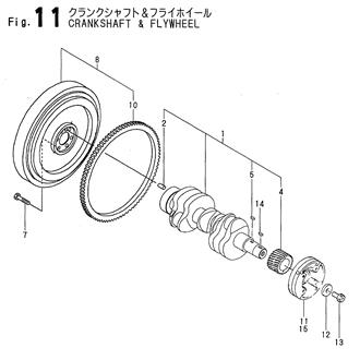 FIG 11. CRANKSHAFT & FLYWHEEL