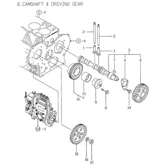 FIG 6. CAMSHAFT & DRIVING GEAR