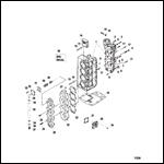 Cylinder Block Assembly