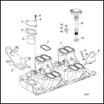 Intake Manifold And Components