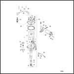 Distributor And Ignition Components