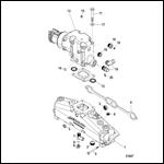 Exhaust Manifold Elbow And Pipes (Manual Drain)