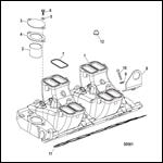 Intake Manifold And Components