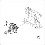Fuel System-Injection Pump