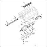 Camshaft and Crankshaft